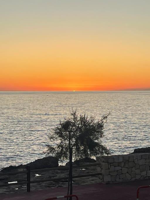 Panoramico Appartamento Lido Conchiglie Gallipoli Dış mekan fotoğraf